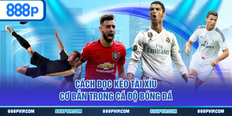 Cách đọc kèo Tài Xỉu cơ bản trong cá độ bóng đá