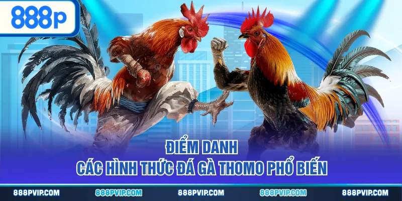 Điểm danh các hình thức đá gà Thomo phổ biến